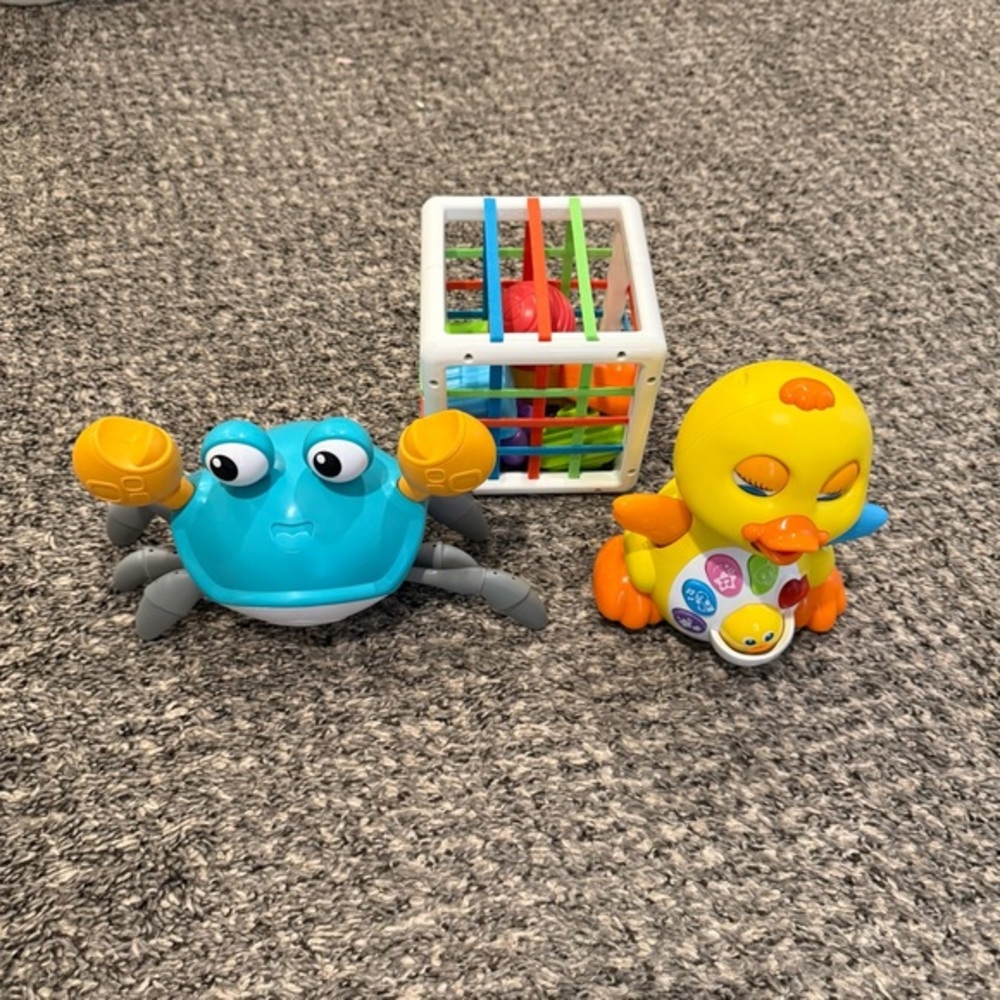 Colorful Crab and Duck Toy Set